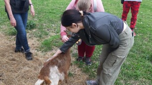 Dwie uczennice głaszczą małą kózkę, Pani Kierownik Kształcenia Praktycznego tłumaczy jak należy dbać o zwierzęta, uczeń stoi z tyłu i przygląda się